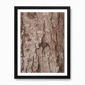 Natural Tree Bark Texture Art Print