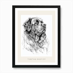 Tibetan Mastiff Dog Line Sketch 1 Poster Art Print