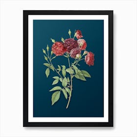 Vintage Ternaux Rose Bloom Botanical Art on Teal Blue Art Print