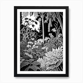 University Of British Columbia Botanical Garden, 1, Canada Linocut Black And White Vintage Art Print