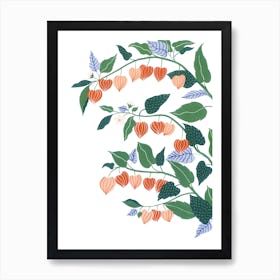 Chinese Lantern Plant Botanical Painting Art Print