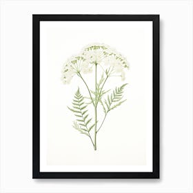 Yarrow Savory Vintage Botanical Herbs 2 Art Print