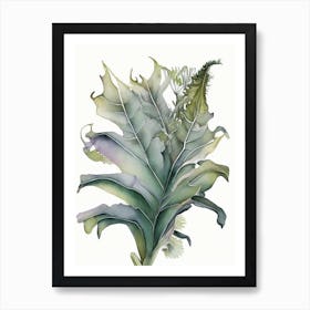 Staghorn Fern Watercolour Art Print