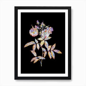 Stained Glass Hudson Rose Mosaic Botanical Illustration on Black n.0321 Art Print