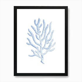 Blue Coral 1 Art Print