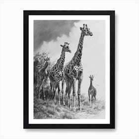 Giraffe Walking Down The Path Pencil Drawing 2 Art Print