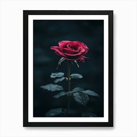 Dark Rose 101 Art Print