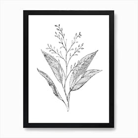 Botanical Leaves and Stem Art Print