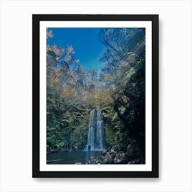 Beech Forest_Aus Art Print