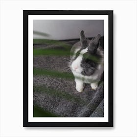 Rabbit In The Room Art Print