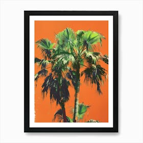 Palm Trees 45 Art Print