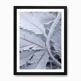 Frosty Leaves 3 Art Print
