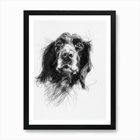 English Springer Spaniel Dog Charcoal Line 1 Art Print