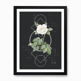 Vintage White Rose Botanical with Geometric Line Motif and Dot Pattern n.0197 Art Print