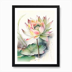 Lotus Flower In Garden Watercolour Ink Pencil 3 Art Print