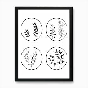 Collection Of Plants In Black And White Line Art 2 Art Print