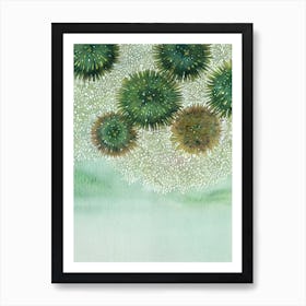 Sea Urchin Roe II Storybook Watercolour Art Print