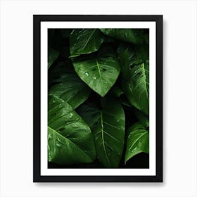 Green Leaves Art Print