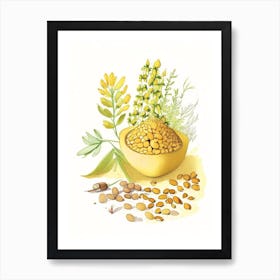 Fenugreek Seed Spices And Herbs Pencil Illustration 3 Art Print