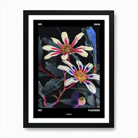 No Rain No Flowers Poster Cineraria 4 Art Print