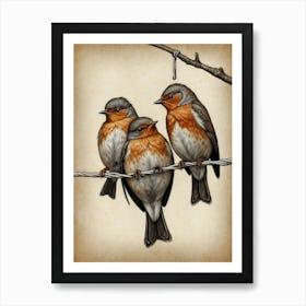 Robins On A Wire 1 Art Print