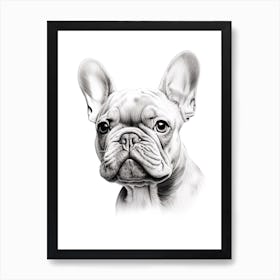 French Bulldog Dog, Line Drawing 4 Art Print
