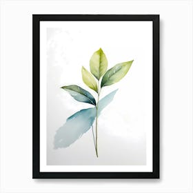 Watercolor Leaf 3 Art Print