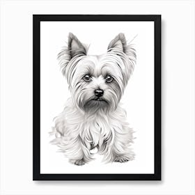 Yorkshire Terrier Dog, Line Drawing 4 Art Print