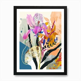 Colourful Flower Illustration Phlox 1 Art Print