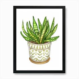 Snake Plant In A Pot Art Print