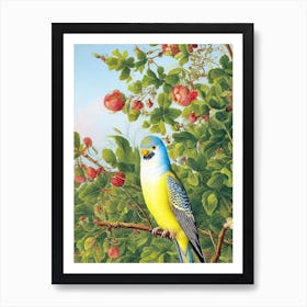 Budgerigar Haeckel Style Vintage Illustration Bird Art Print