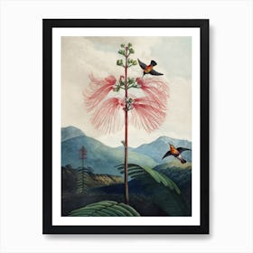 Vintage Thornton 1 Sensitive Plant Art Print