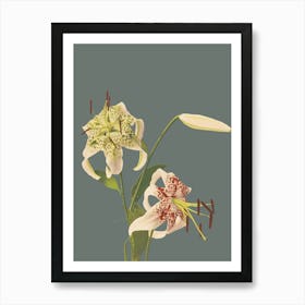 Lily Of The Valley 46 Art Print