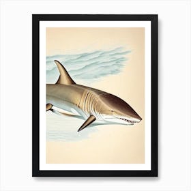 Sand Tiger Shark 3 Vintage Poster