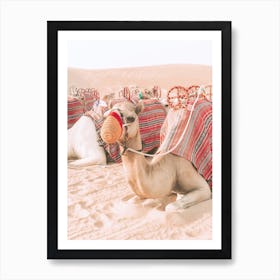 Resting Camel In Desert Art Print