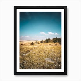 Dartmoor Art Print