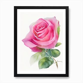 Rose Wildflower Watercolour 1 Art Print