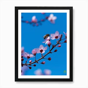 Bee On A Cherry Blossom 20220228 70ppub Art Print