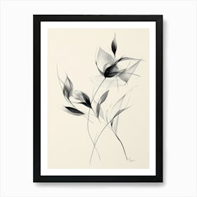 Flowers In Black And White 1 Art Print