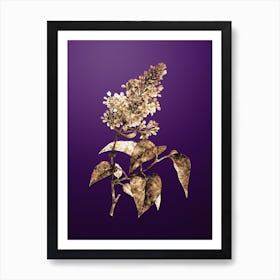 Gold Botanical Common Pink Lilac Plant on Royal Purple n.3388 Art Print