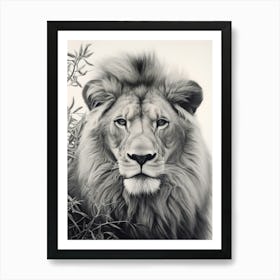 African Lion Realism Portrait 4 Art Print