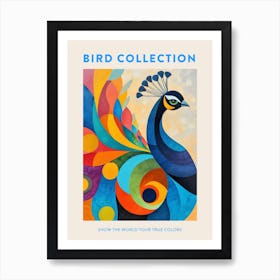 Peacock Geometric Colourful Patterns Poster Art Print