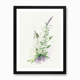 Catnip Herb Minimalist Watercolour Art Print