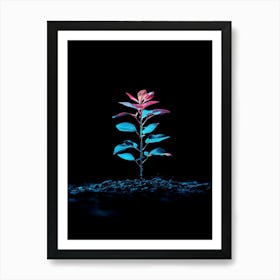 Plant In The Dark 22 Art Print