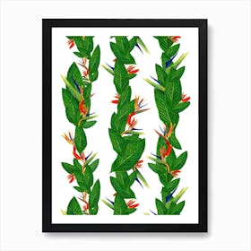 Bird Of Paradise  Art Print