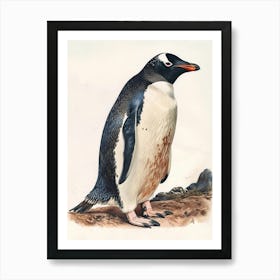 Adlie Penguin Laurie Island Vintage Botanical Painting 3 Art Print