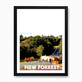 New Forrest National Park Art Wall Print Art Print