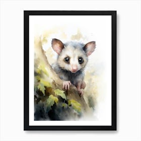 Light Watercolor Painting Of A Curious Possum 4 Art Print