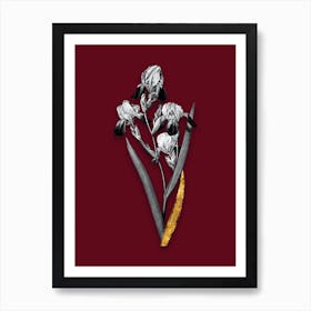 Vintage Elder Scented Iris Black and White Gold Leaf Floral Art on Burgundy Red n.1200 Art Print