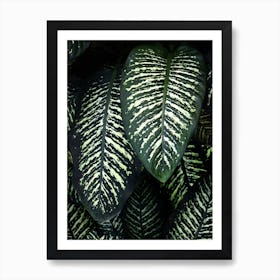 Jungle1 Art Print